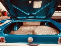 1966 Ford Mustang for sale in Michigan (ID-145315)