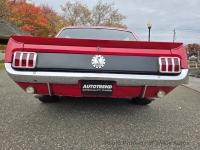 1966 Ford Mustang for sale in Riverhead, New York (ID-146224)