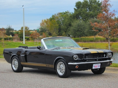 1966 Ford Mustang for sale