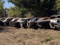 1966 Ford Mustang for sale in Midlothian, Texas (ID-155295)