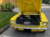 1966 Ford Mustang for sale in Michigan (ID-161441)