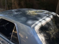 1966 Ford Mustang for sale in Michigan (ID-161890)