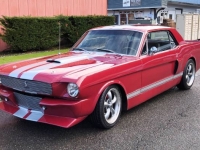 1966 Ford Mustang for sale in Michigan (ID-162003)