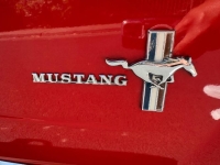 1966 Ford Mustang for sale in Michigan (ID-162593)