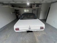 1966 Ford Mustang for sale in Michigan (ID-162913)