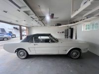 1966 Ford Mustang for sale in Michigan (ID-162913)