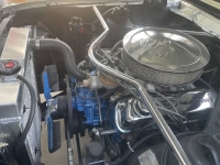 1966 Ford Mustang for sale in Michigan (ID-162917)