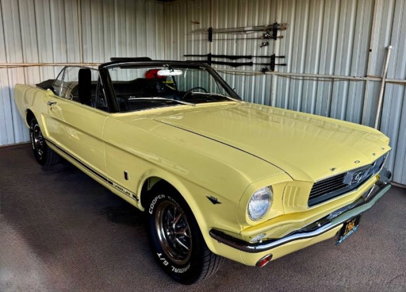 1966 Ford Mustang for sale in Michigan (ID-163268)