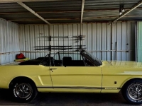 1966 Ford Mustang for sale in Michigan (ID-163268)