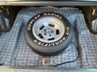 1966 Ford Mustang for sale in Michigan (ID-163290)
