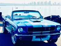 1966 Ford Mustang for sale in Michigan (ID-163663)