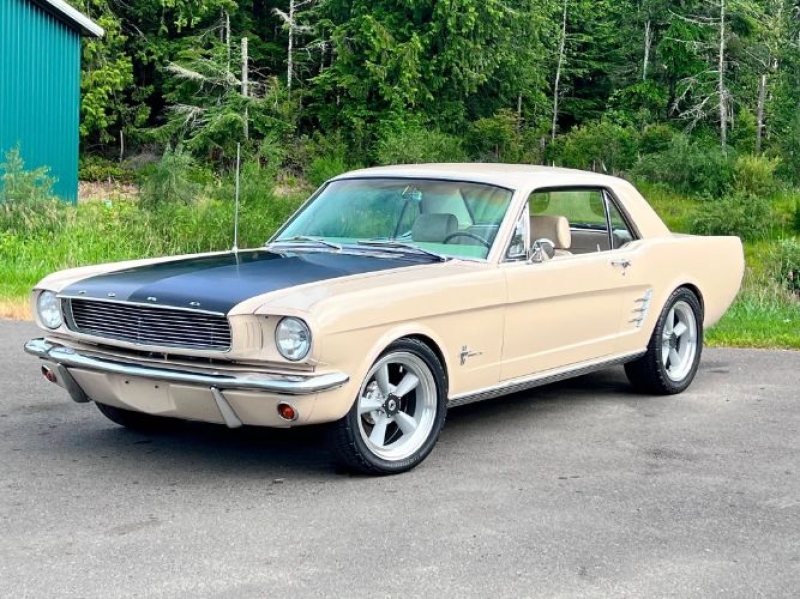 1966 Ford Mustang for sale in Michigan (ID-164256)