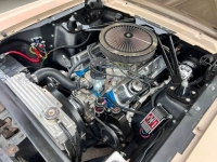 1966 Ford Mustang for sale in Michigan (ID-164256)