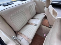 1966 Ford Mustang for sale in Michigan (ID-164256)