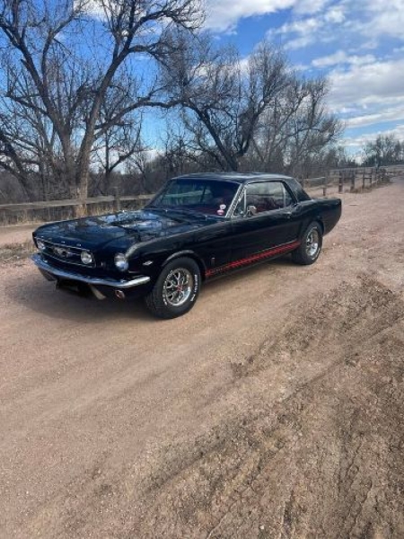 1966 Ford Mustang for sale in Michigan (ID-164338)