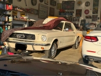 1966 Ford Mustang for sale in Michigan (ID-164381)