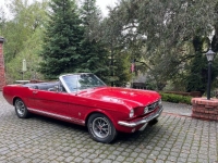 1966 Ford Mustang GT for sale in Michigan (ID-137719)