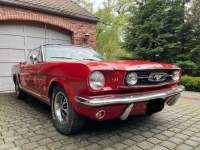 1966 Ford Mustang GT for sale in Michigan (ID-137719)