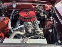 1966 Ford Ranchero for sale in Michigan (ID-144089)