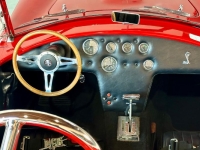 1966 Ford Shelby for sale in Michigan (ID-130984)