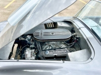 1966 Ford Shelby for sale in Michigan (ID-145373)