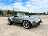 1966 Ford Shelby for sale in Michigan (ID-145373)