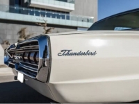 1966 Ford Thunderbird for sale in Michigan (ID-98097)
