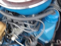 1966 Ford Thunderbird for sale in Michigan (ID-110025)
