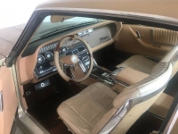 1966 Ford Thunderbird for sale in Michigan (ID-113120)