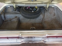 1966 Ford Thunderbird for sale in Michigan (ID-113570)