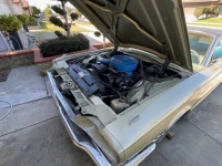 1966 Ford Thunderbird for sale in Michigan (ID-113605)