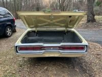1966 Ford Thunderbird for sale in Michigan (ID-115705)
