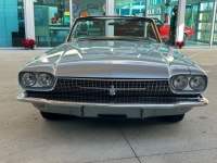 1966 Ford Thunderbird for sale in Riverhead, New York (ID-124631)