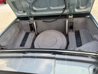 1966 Ford Thunderbird for sale in Riverhead, New York (ID-124631)