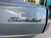 1966 Ford Thunderbird for sale in Riverhead, New York (ID-124631)