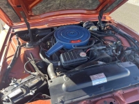 1966 Ford Thunderbird for sale in Riverhead, New York (ID-127100)