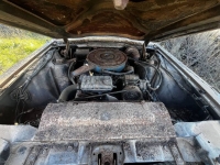 1966 Ford Thunderbird for sale in Michigan (ID-138789)
