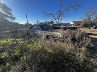 1966 Ford Thunderbird for sale in Michigan (ID-138789)