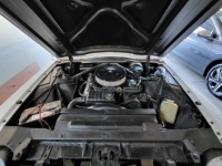 1966 Ford Thunderbird for sale in Michigan (ID-141126)