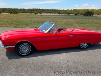 1966 Ford Thunderbird for sale in Riverhead, New York (ID-141692)