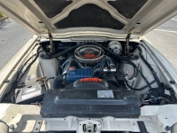 1966 Ford Thunderbird for sale in Michigan (ID-142227)