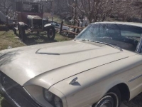 1966 Ford Thunderbird for sale in Michigan (ID-145047)