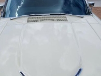 1966 Ford Thunderbird for sale in Michigan (ID-146796)