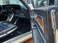 1966 Ford Thunderbird for sale in Michigan (ID-146796)