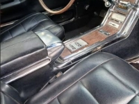 1966 Ford Thunderbird for sale in Michigan (ID-146796)