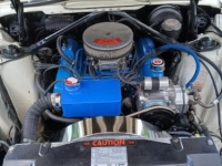 1966 Ford Thunderbird for sale in Michigan (ID-146796)