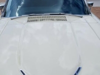 1966 Ford Thunderbird for sale in Michigan (ID-146796)