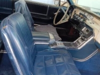 1966 Ford Thunderbird for sale in Michigan (ID-156156)