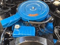 1966 Ford Thunderbird for sale in Michigan (ID-163504)