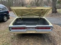 1966 Ford Thunderbird for sale in Michigan (ID-164379)